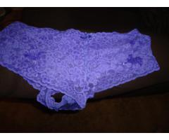 Violet Lace Panties